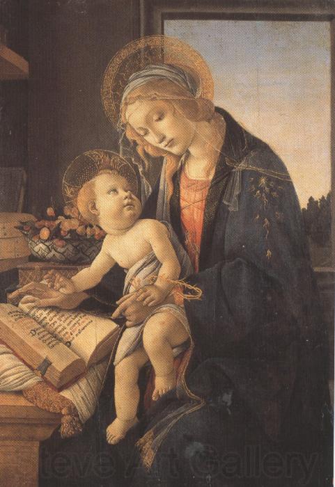 Sandro Botticelli Madonna and child or Madonna of the Bood (mk36) France oil painting art